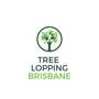 Brisbane Tree Care, Geebung, QLD, Australia