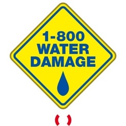 1-800 WATER DAMAGE of Greater Indianapolis - Indianapolis, IN, USA