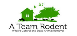 A Team Rodent Control - Hungtinton Beach, CA, USA