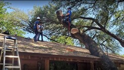 A1 TREE Service - Granbury, TX, USA