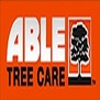 Able Tree Care - Bronx, NY, USA