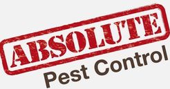 Absolute Pest Control Inc - Calgary, AB, Canada