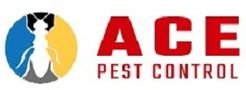 Ace Pest Control - Call The Pest Control Experts In Brisbane - Bribane, QLD, Australia