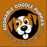 Adorable Doodle Puppies - Grabill, IN, USA