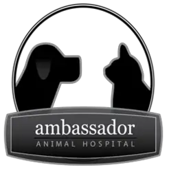 Ambassador Animal Hospital - Windsor, ON, Canada