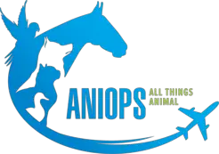 Aniops Inc. in Long Beach, CA - -Long Beach, CA, USA