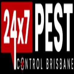 Ant Pest Control Brisbane - Brisbane, QLD, Australia