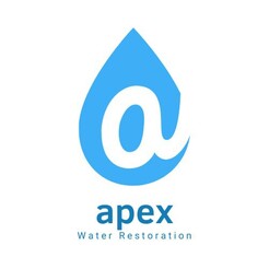 Apex Water Restoration - Friendswood, TX, USA