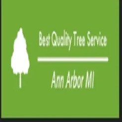 Best Quality Tree Service Ann Arbor MI - Ann Arbor, MI, USA