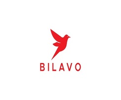 Bilavo Agency - Houston, TX, USA