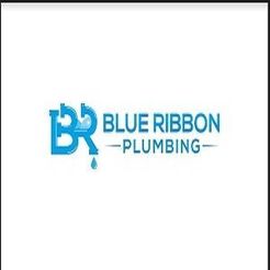 Blue Ribbon Plumbing - Abbotsford, BC, Canada