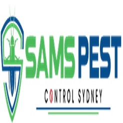 Borer Control Sydney - Sydeny, NSW, Australia