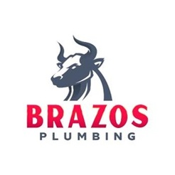 Brazos Plumbing - League City, TX, USA