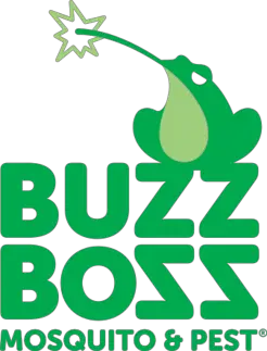 Buzz Boss - Calgary, AB, Canada