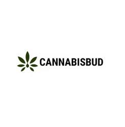 CANNABISBUDEUROPE - London, London E, United Kingdom