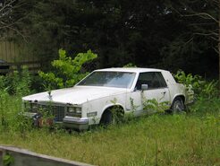 Cash For Junk Cars Nashville - Nashville, TN, USA