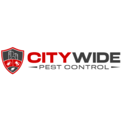 City Wide Moth Control Sydney - Sydney, ACT, Australia