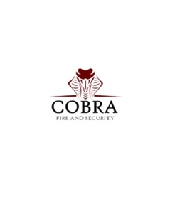 Cobra Fire and Security Ltd - Hull, North Yorkshire, United Kingdom