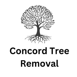 Concord Tree Removal - Concord, NH, USA