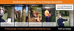 DGS Trees - Southampton, Hampshire, United Kingdom