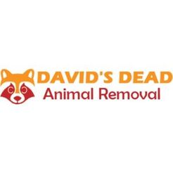 David\'s Dead Animal Removal Brisbane - Brisbane City, QLD, Australia