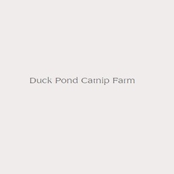 Duck Pond Farm - Waterbury Center, VT, USA