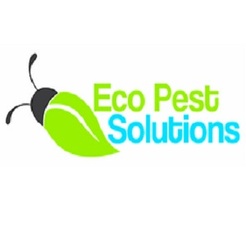 Eco Pest Solutions - Chicago, IL, USA