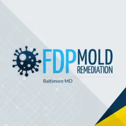 FDP Mold Remediation - Baltimore, MD, USA