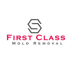 First Class Mold Removal Sherman Oaks - Sherman Oaks, CA, USA