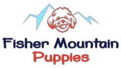 Fisher Mountain Puppies - Fayetteville, AR, USA
