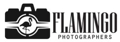 Flamingo Photographers - Sarasota, FL, USA