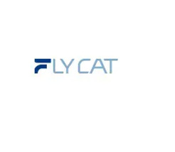 Fly Cat Electrical Co., Ltd. - Boston, MA, USA