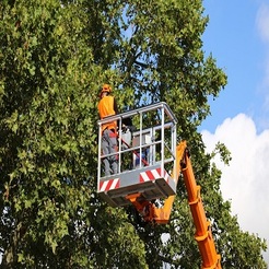 Gateway Tree Service Co - Omaha, NE, USA