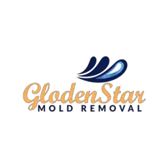 GoldenStar Mold removal Encino - Encino, CA, USA