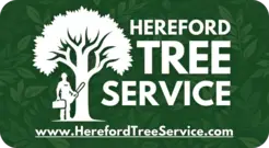 Hereford Tree Service - Hereford, Hertfordshire, United Kingdom