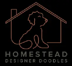 Homestead Designer Doodles - Hull, GA, USA