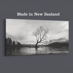 Lake Wanaka Tree, New Zealand