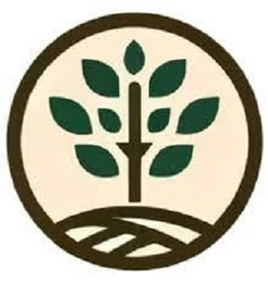 Los Angeles Arborist - Los Angeles, CA, USA