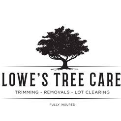 Lowe's Tree Care Service - Florence, KY, USA