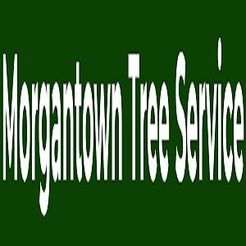 Morgantown Tree Service - Morgantown, WV, USA