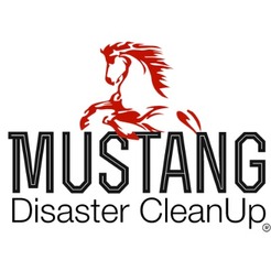 Mustang Disaster CleanUp - Story City, IA, USA