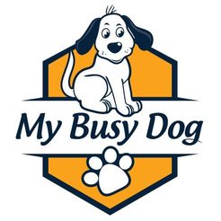 My Busy Dog - Boston, MA, USA