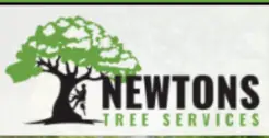 Newton’s Tree Services - Oxted, Surrey, United Kingdom