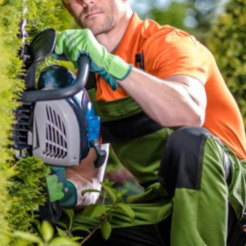 Nottingham Tree Surgeons - Nottingham, England, Nottinghamshire, United Kingdom