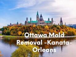 Ottawa Mold Removal -Kanata-Orleans - Ottawa, ON, Canada