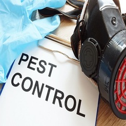 Pearl on the Pecos Pest Control Solutions - Carlsbad, NM, USA