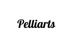 Pelliarts - Women's Fur Coats, Dresses & Accessories - North York, ON, ON, Canada