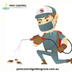 Pest Control Golden Grove - Adelaide, SA, Australia
