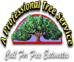 Professional Tree Service Lexington KY - Lexington, KY, USA