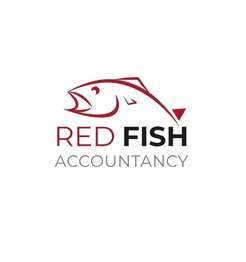 Red Fish Accountancy - Horsham, West Sussex, United Kingdom